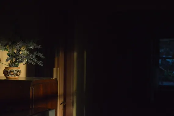 Trada Kaszinó Támogatás